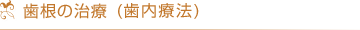 歯根の治療（歯内療法）